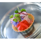 Feel-Photo HOCHWERTIGE PORTRAIT-, BUSINESS- & EVENTFOTOGRAFIE AUS EINER HAND! 006