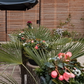 Feel-Photo HOCHWERTIGE PORTRAIT-, BUSINESS- & EVENTFOTOGRAFIE AUS EINER HAND! 013