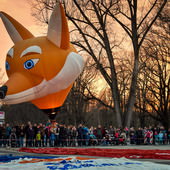 Feel-Photo HOCHWERTIGE PORTRAIT-, BUSINESS- & EVENTFOTOGRAFIE AUS EINER HAND! 080